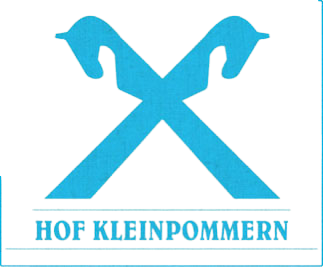 logo removebg preview